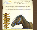 Jabez Therapy Ranch